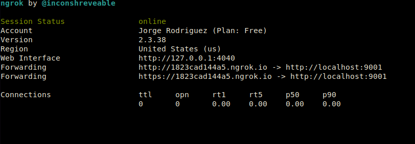Hacer público tu localhost con ngrok
